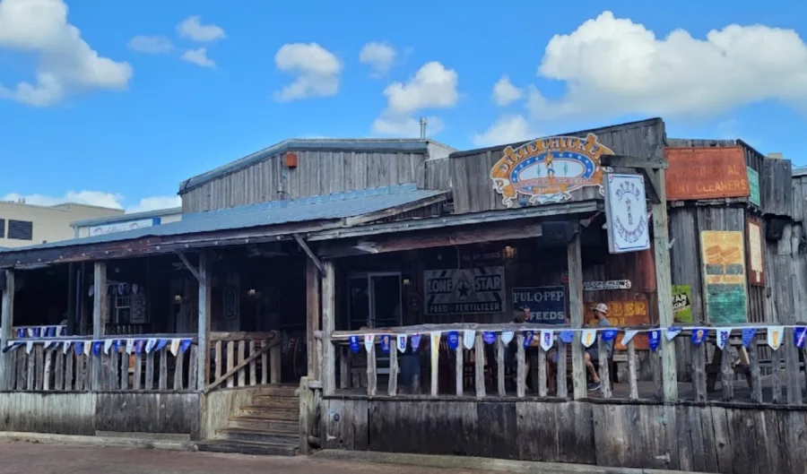 Dixie Chicken