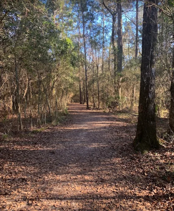 George Mitchell Nature Preserve