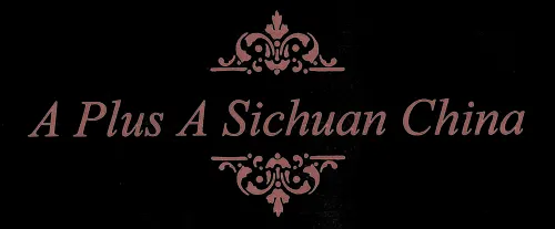 A+A Sichuan china