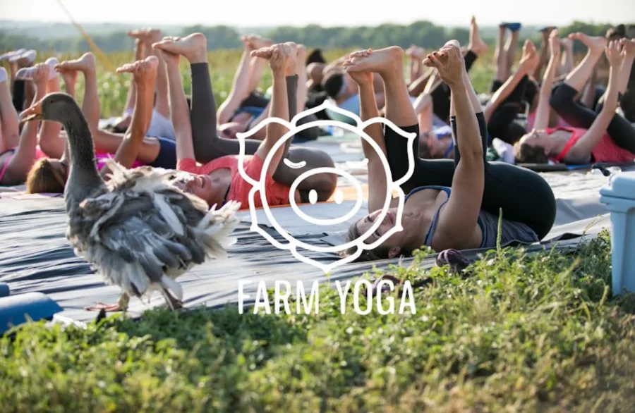 Farm Yoga