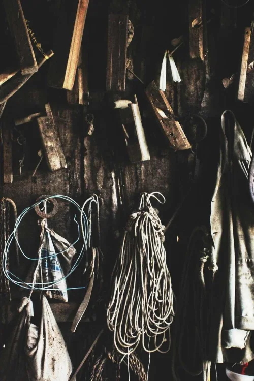 Brainstorm: Unraveling the Mysteries of the Brain