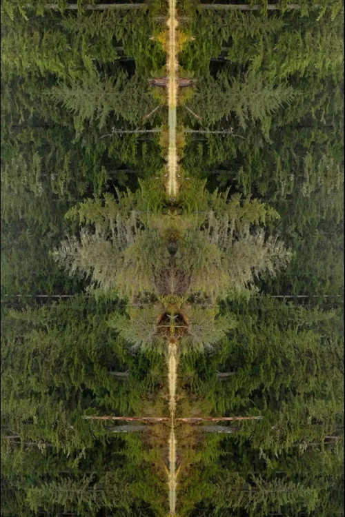Mirrorpond