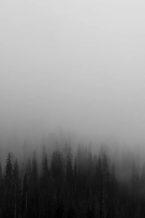 Artificial Horizons Test