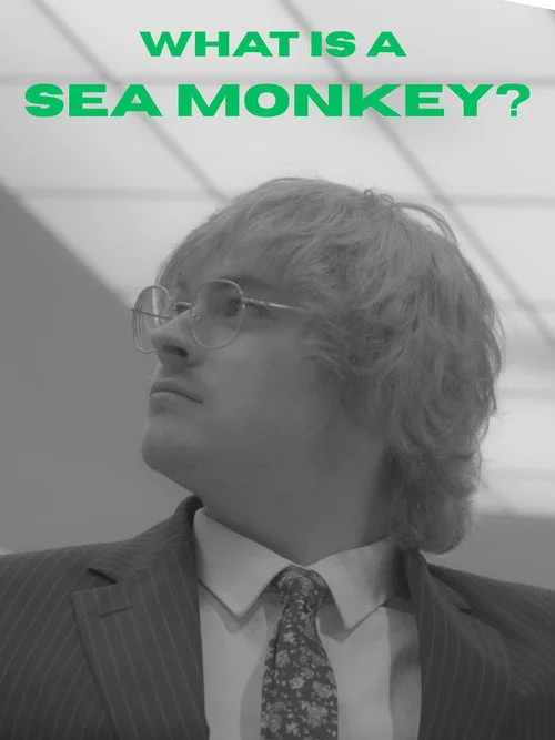 What Is A Sea Monkey?