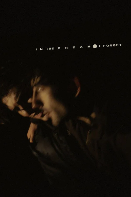 In the Dream I Forget