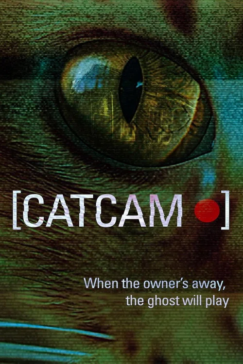 Cat Cam