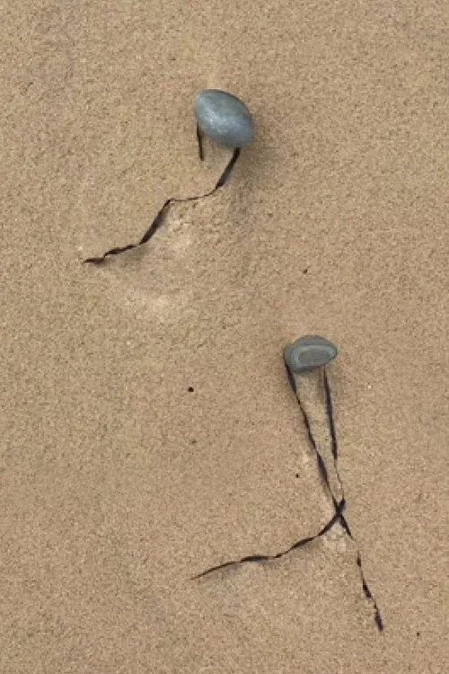 Double act