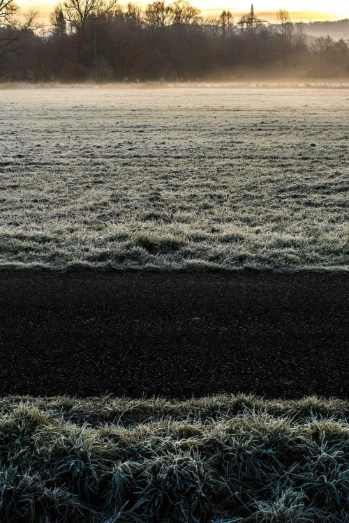 Plastic Sun