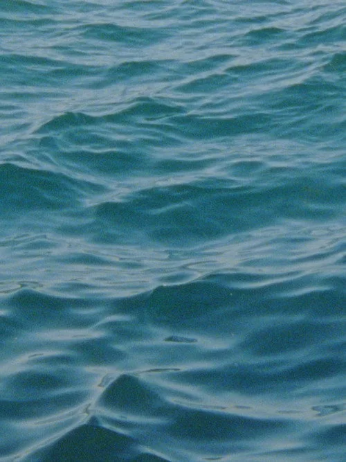 Water Diary