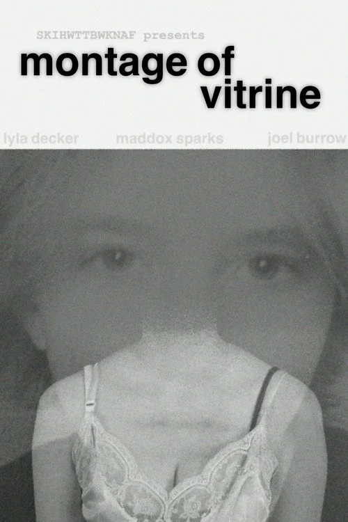Montage of Vitrine