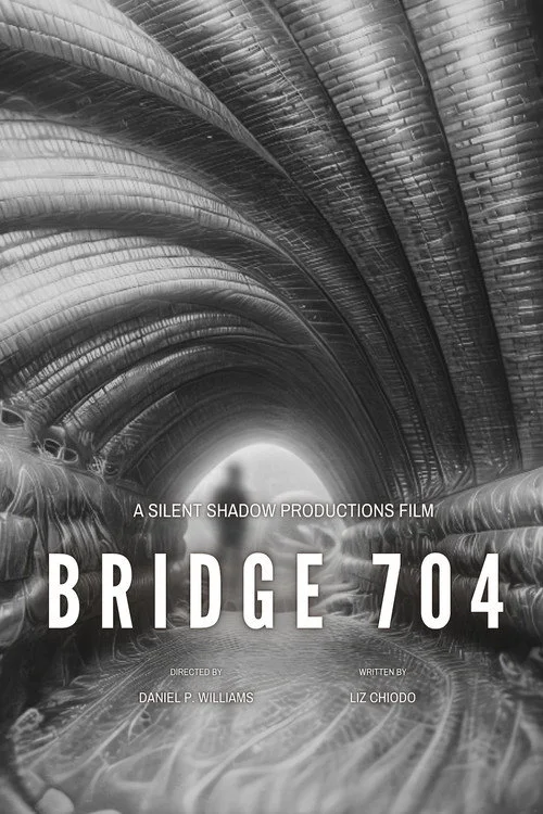 Bridge 704