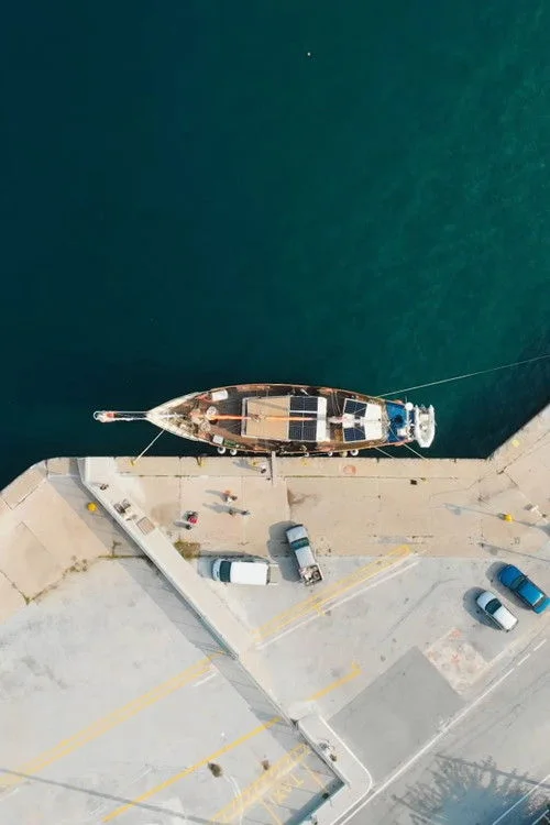 Saving the Hidden Coral of the Mediterranean