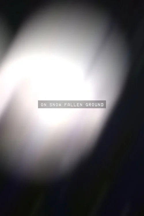 On Snow Fallen Ground