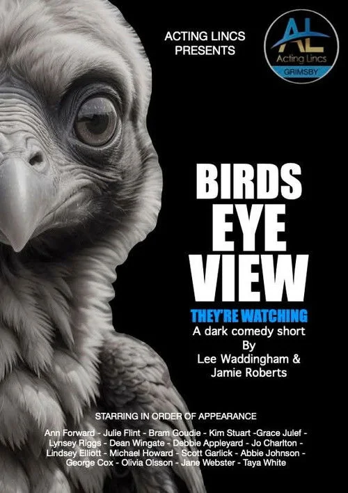 Birds Eye View