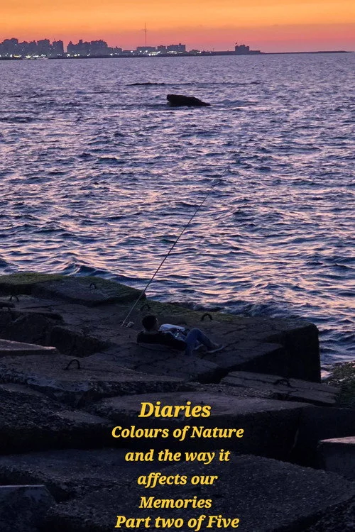 Diaries: Colours of Nature and the Way It Affects Our Memories.