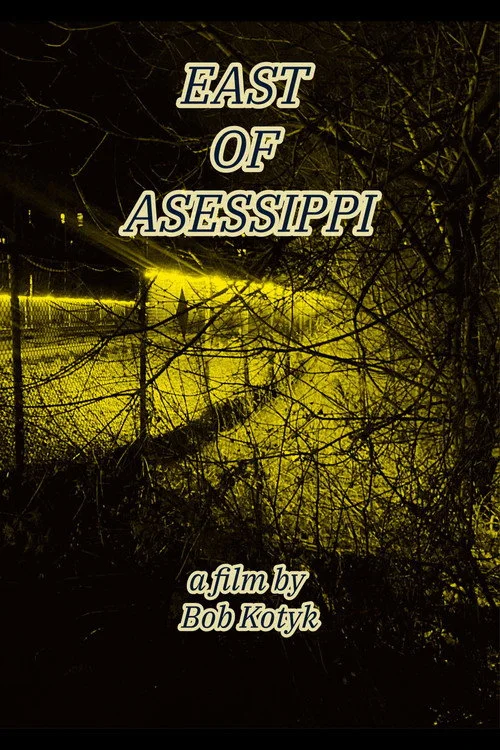 East of Asessippi