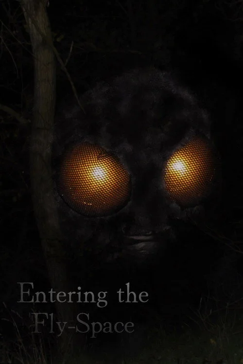 Entering the Fly-Space