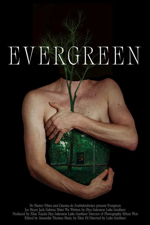 Evergreen