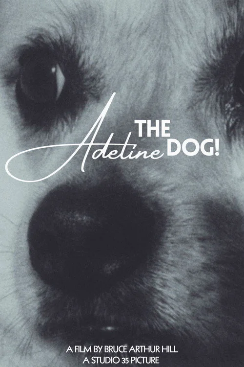 Adeline The Dog!