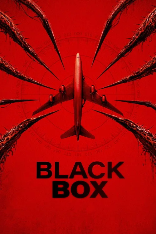 Black Box (Flight 298)