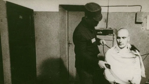 The Story of Documentary Film: 1980s
