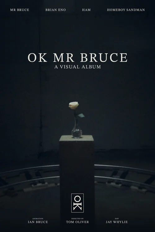 OK MR BRUCE