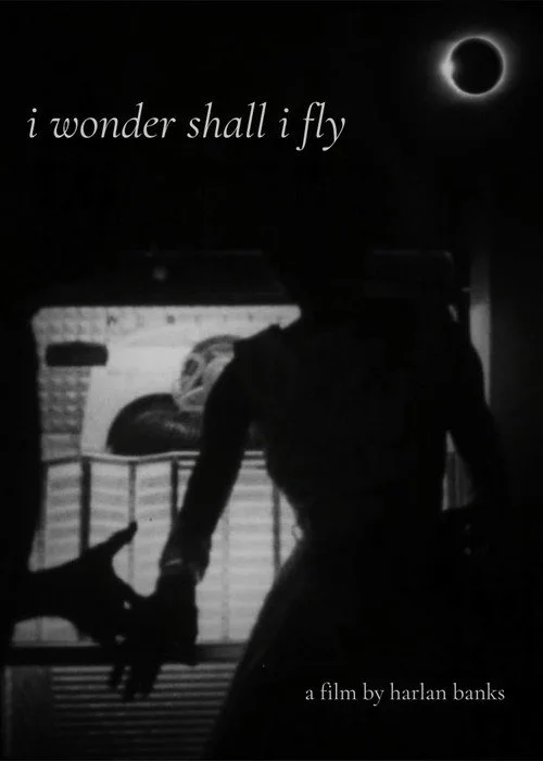 i wonder shall i fly