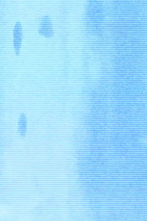 summer afternoon (hypnagogic decay)