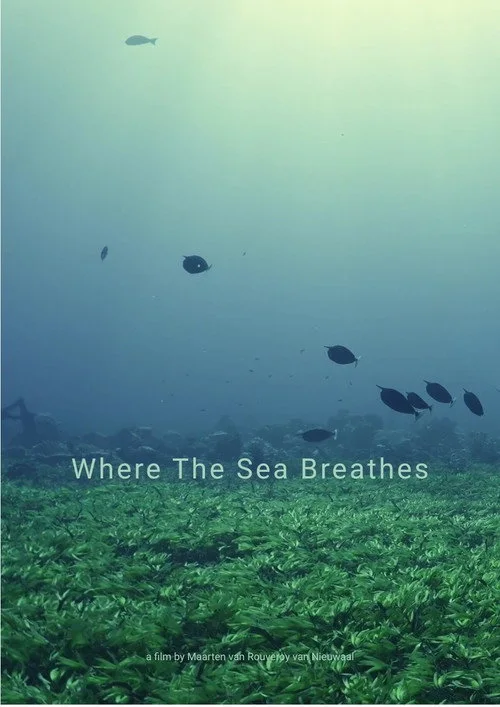 Where The Sea Breathes