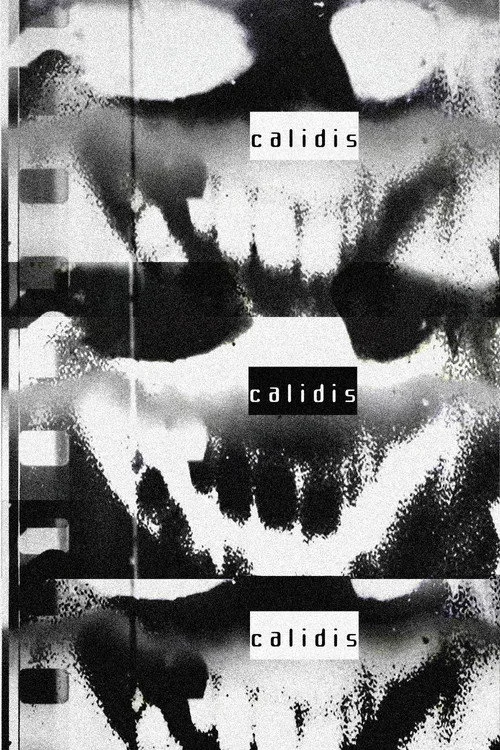 Calidis