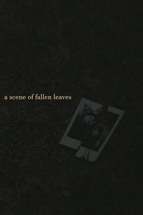 a scene of fallen leaves
