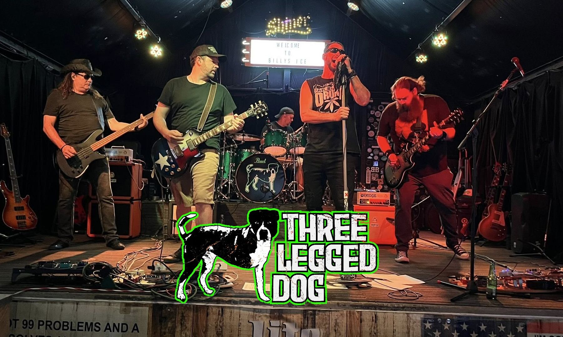 Three Legged Dog