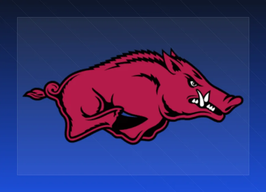 Arkansas Razorbacks