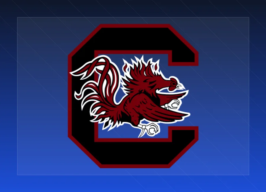 South Carolina Gamecocks
