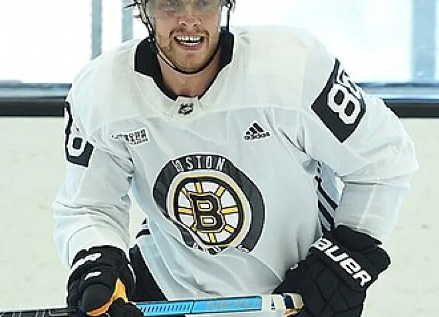 David Pastrnak