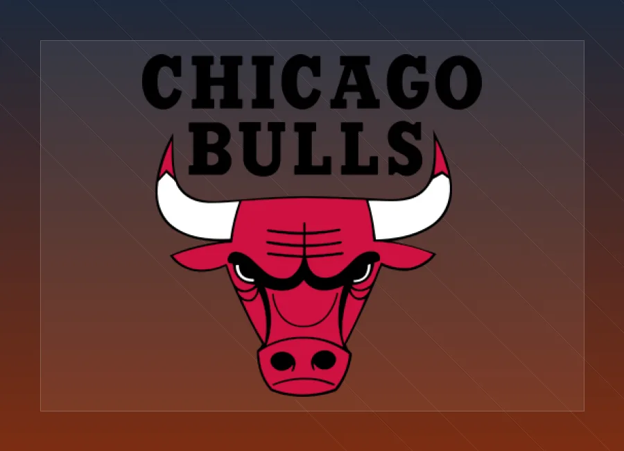 Chicago Bulls