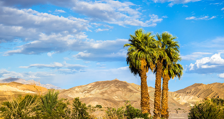Anza-Borrego Desert