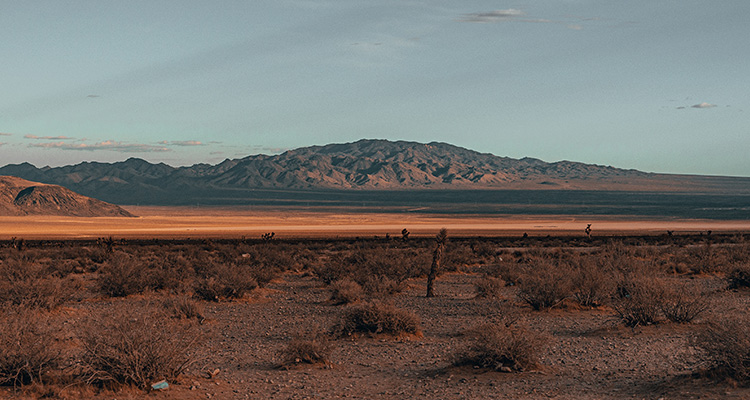 Black Rock Desert