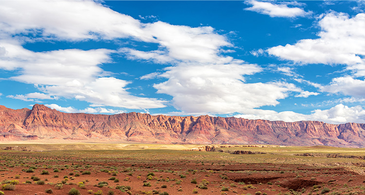 Colorado Plateau Desert