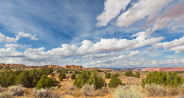 Escalante Desert