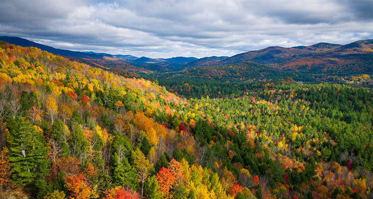 Green Mountain National Forest