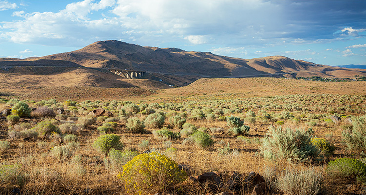 High Desert