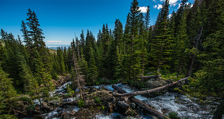 Humboldt-Toiyabe National Forest