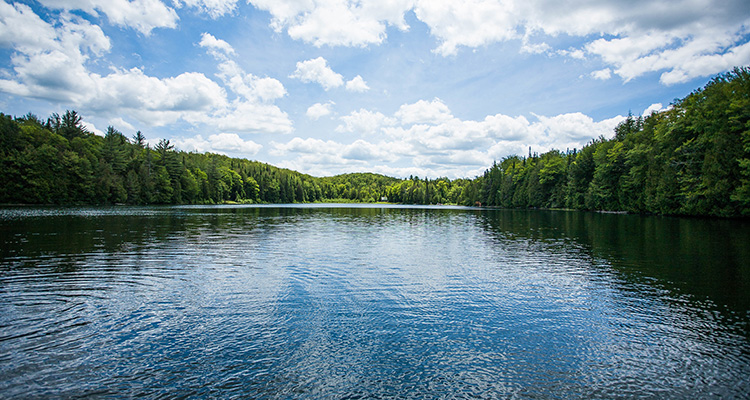 Lake Winnipesaukee