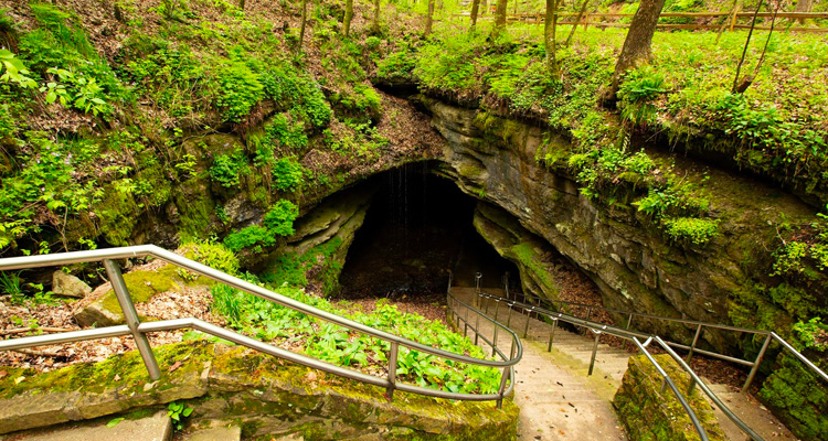 Mammoth Cave