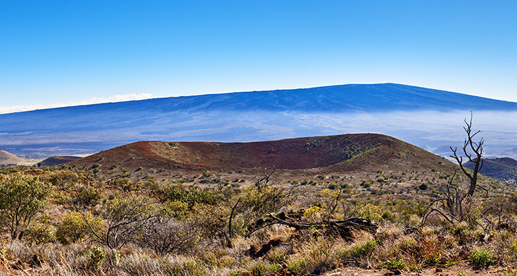Mauna Loa