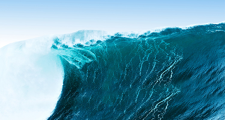 Mavericks