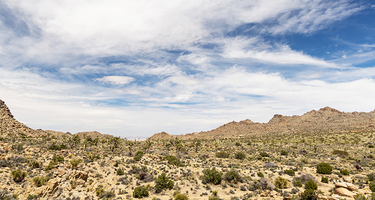 Mojave Desert