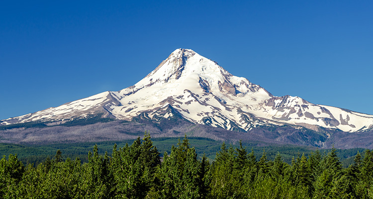 Mount Hood