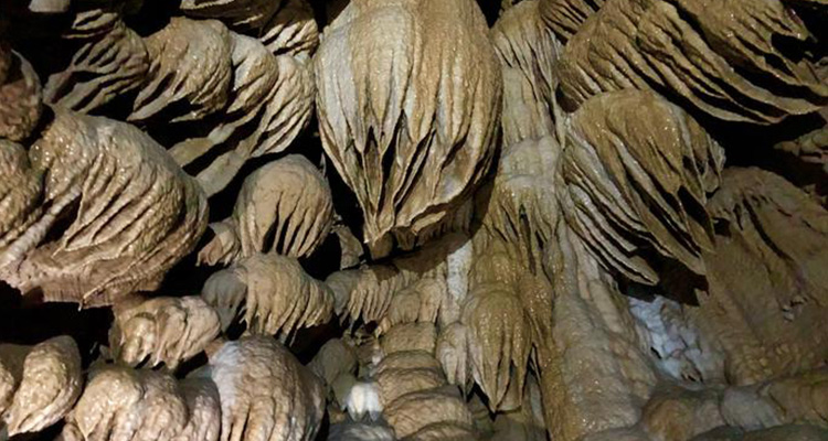 Oregon Caves